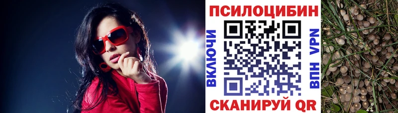 Купить где  Соль-Илецк  Псилоцибиновые грибы MAGIC MUSHROOMS 
